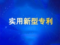 实用新型专利申请：如何避免被他人抢先