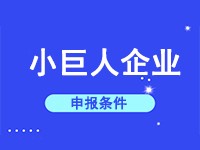 重点“小巨人”企业认定标准
