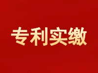 知识产权实缴一个实用新型评估多少合理